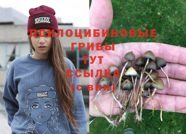 ECSTASY Абдулино
